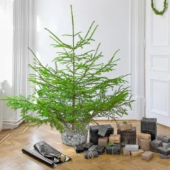 Korbo Classic 24 Metallikori, Galvanoitu -Muuto HalpaShop 1Korboupdate HV