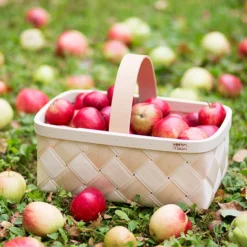 Verso Design Lastu Sienikori, S -Muuto HalpaShop 33Verso2014 iso fv