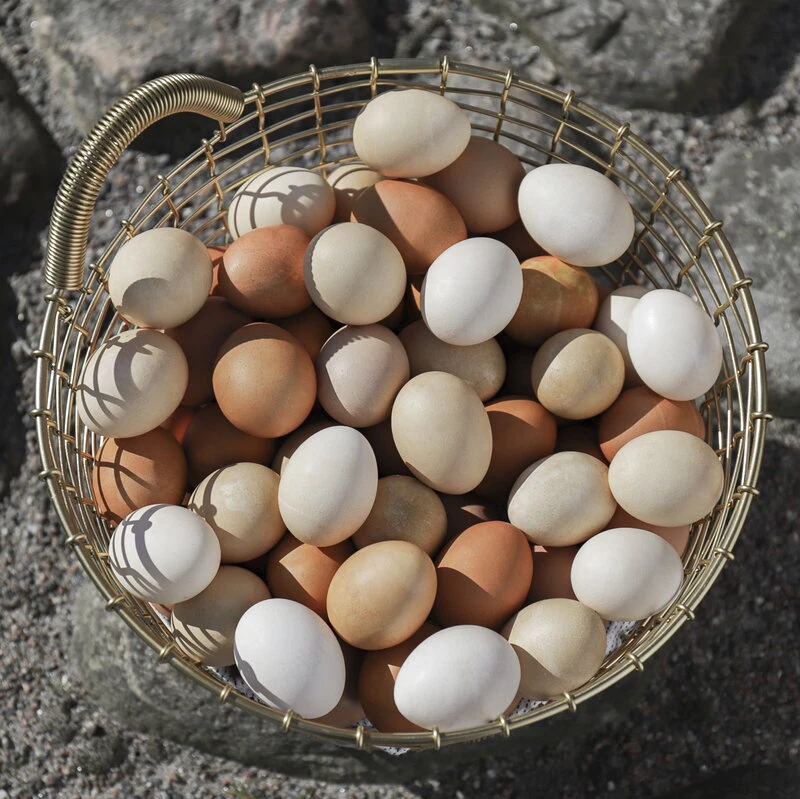 Korbo Bin 16 Metallikori , Messinki 2 Korbo Bin 16 Metallikori , Messinki - Image 2